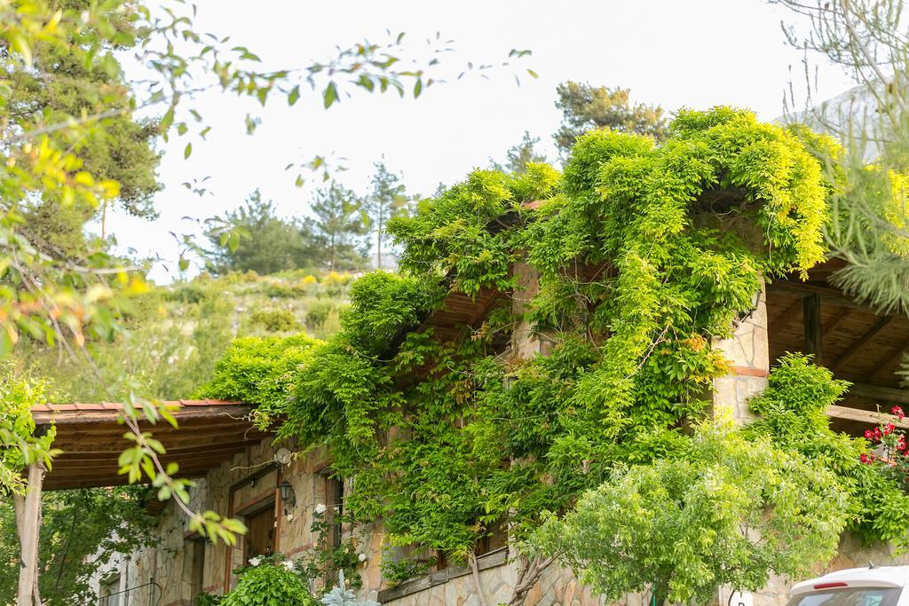 Olympos Mountain Lodge Бейджик Екстер'єр фото