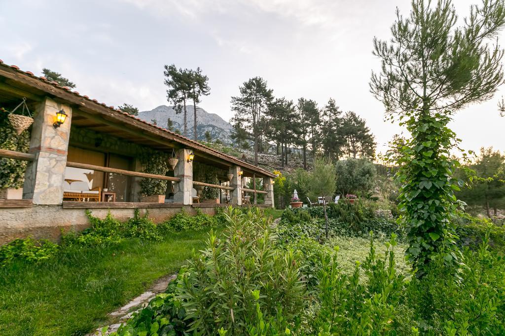 Olympos Mountain Lodge Бейджик Екстер'єр фото